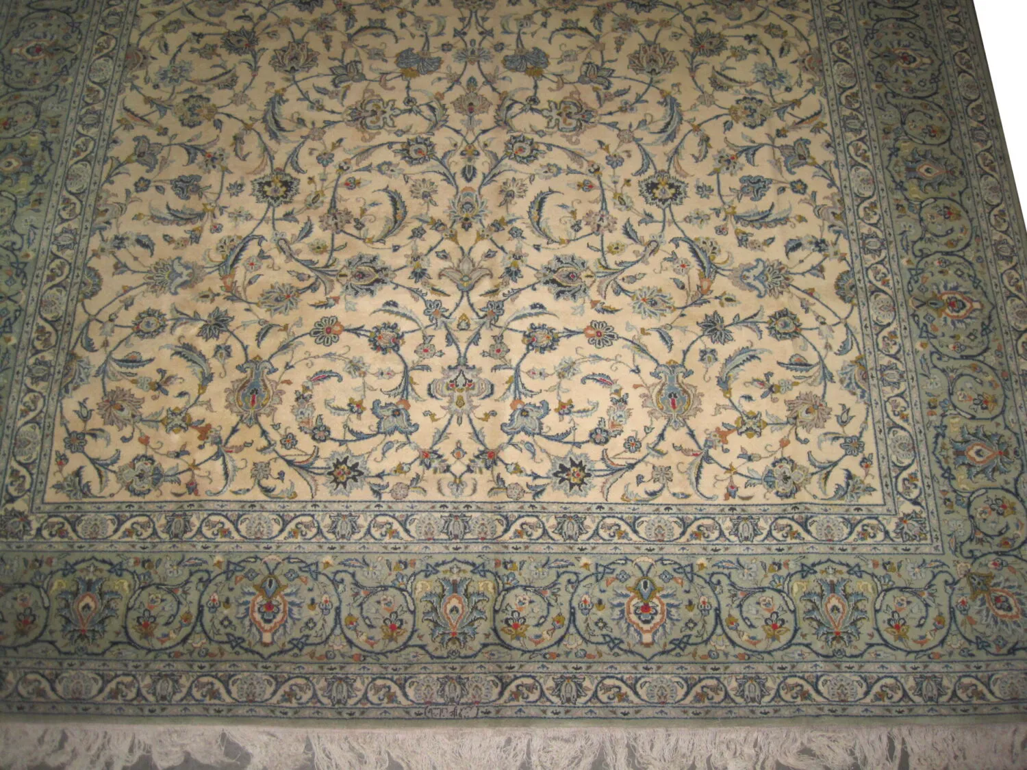 Kashan Persian - Image 2