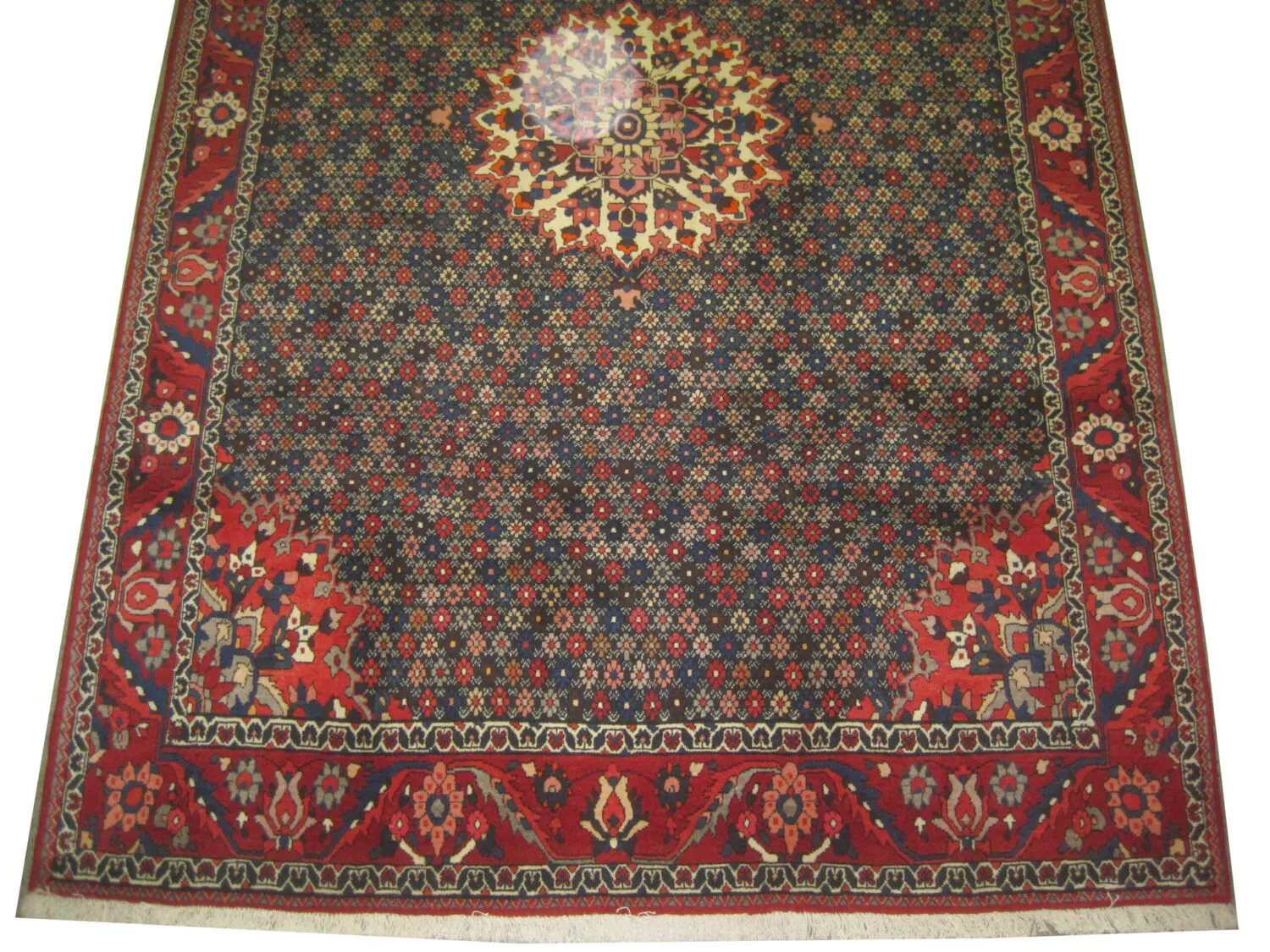 Bakhtiar Faradonbeh Persian - Image 3