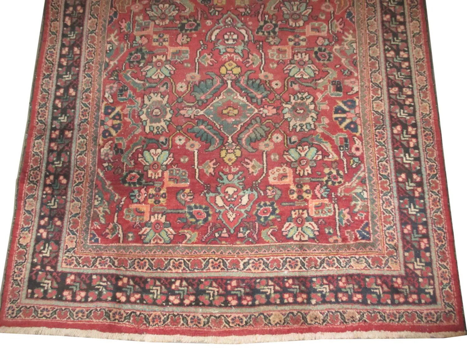 Mahal Persian - Image 3