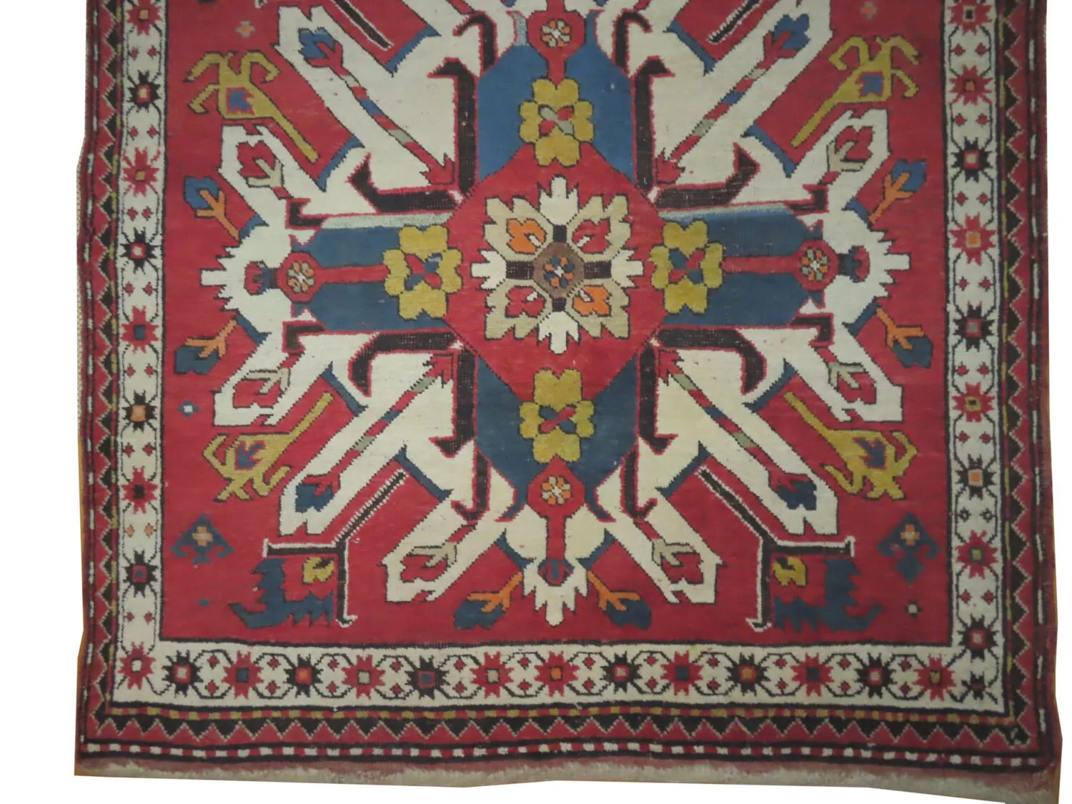 Chelaberd Caucasian - Image 3