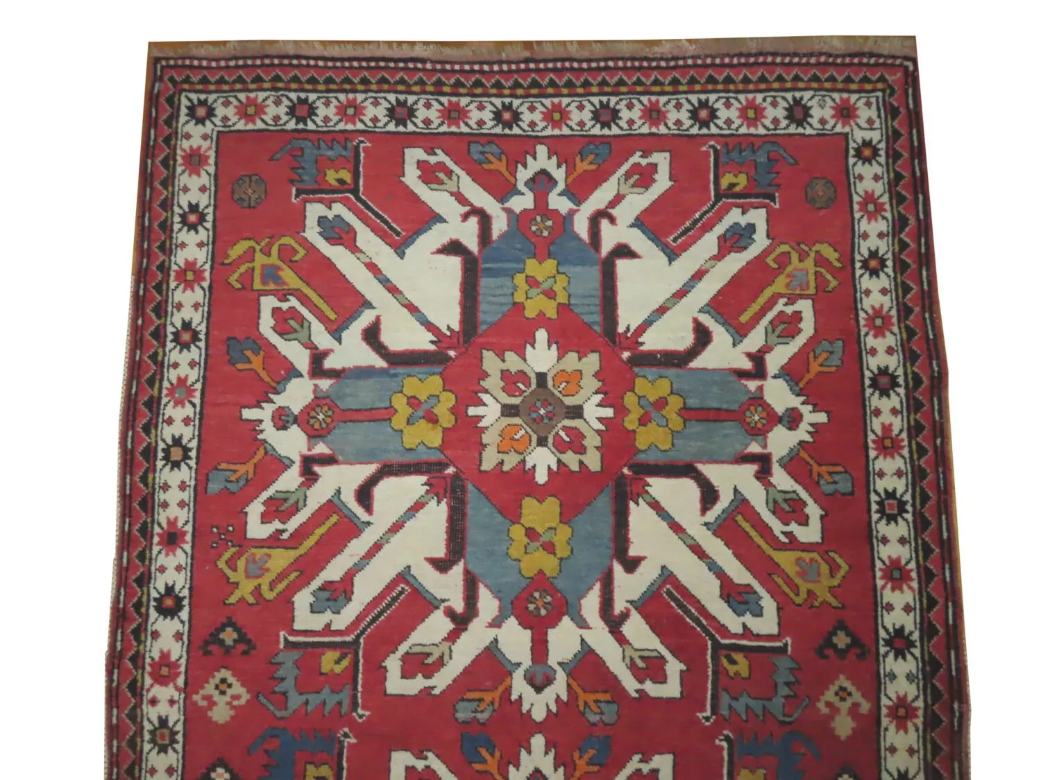 Chelaberd Caucasian - Image 2