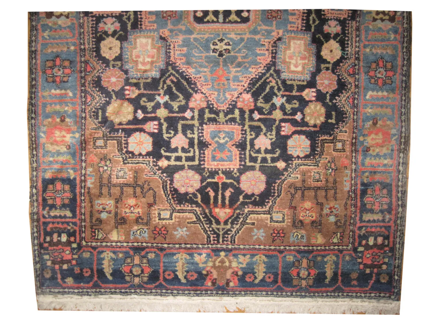 Zanjan Persian - Image 2