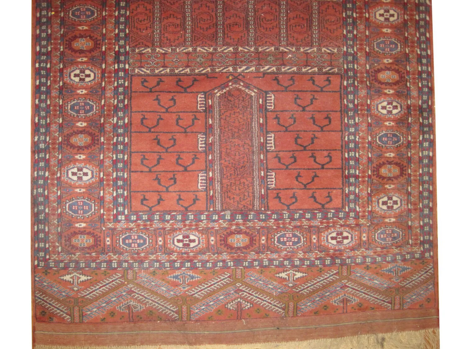 Ensi Pakistani - Image 3