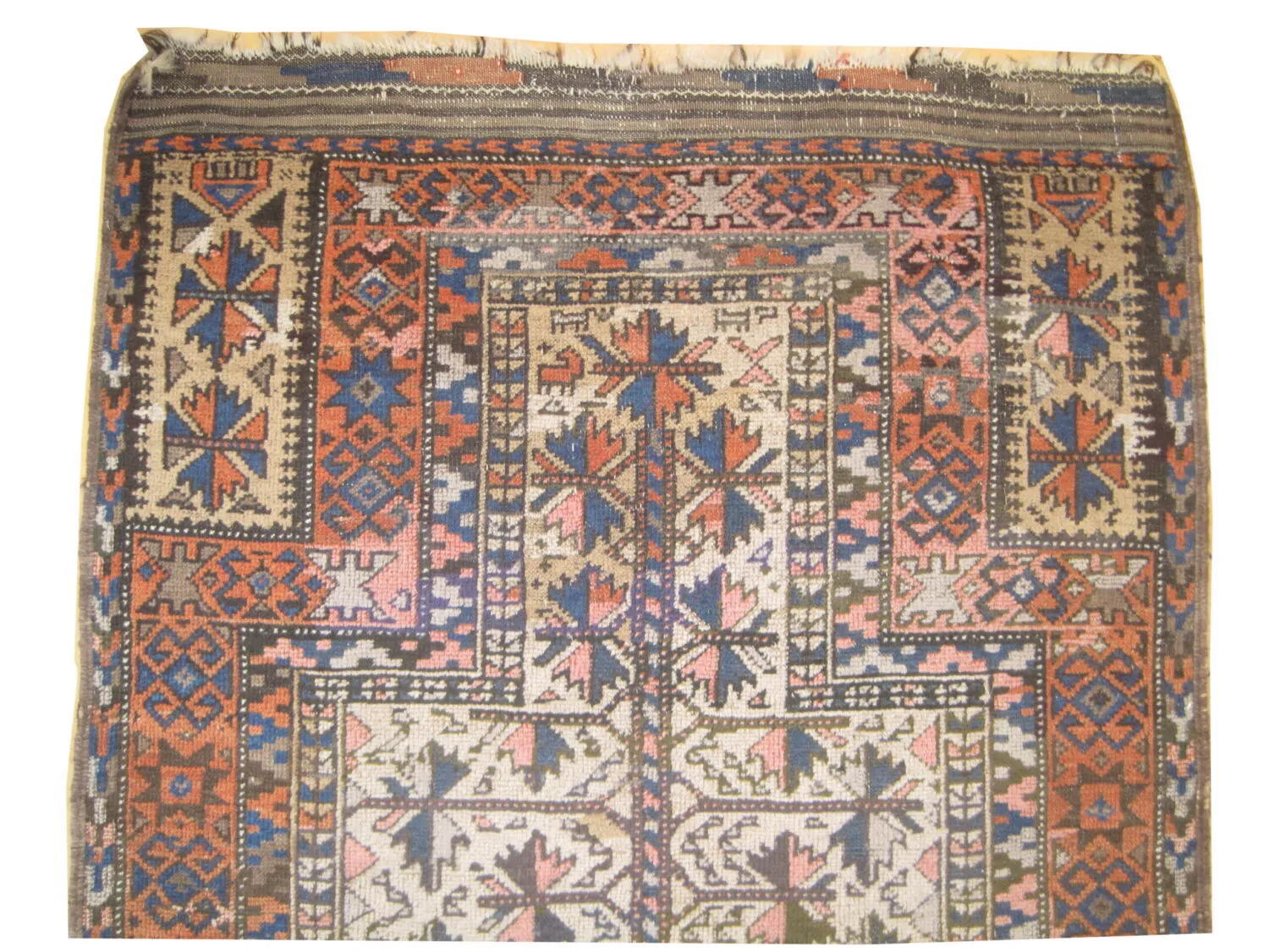 Belutsch Persian - Image 2