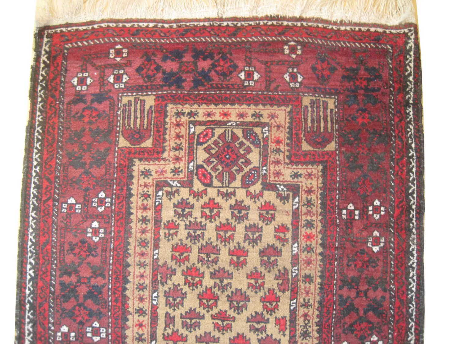 Belutsch Persian - Image 2