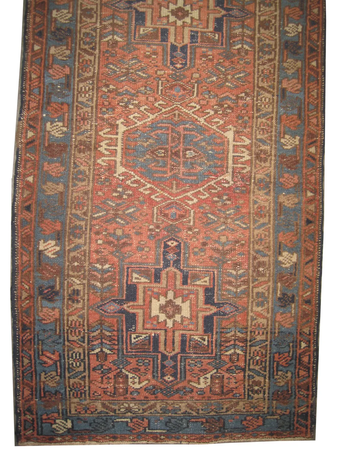 Karadja Persian - Image 2