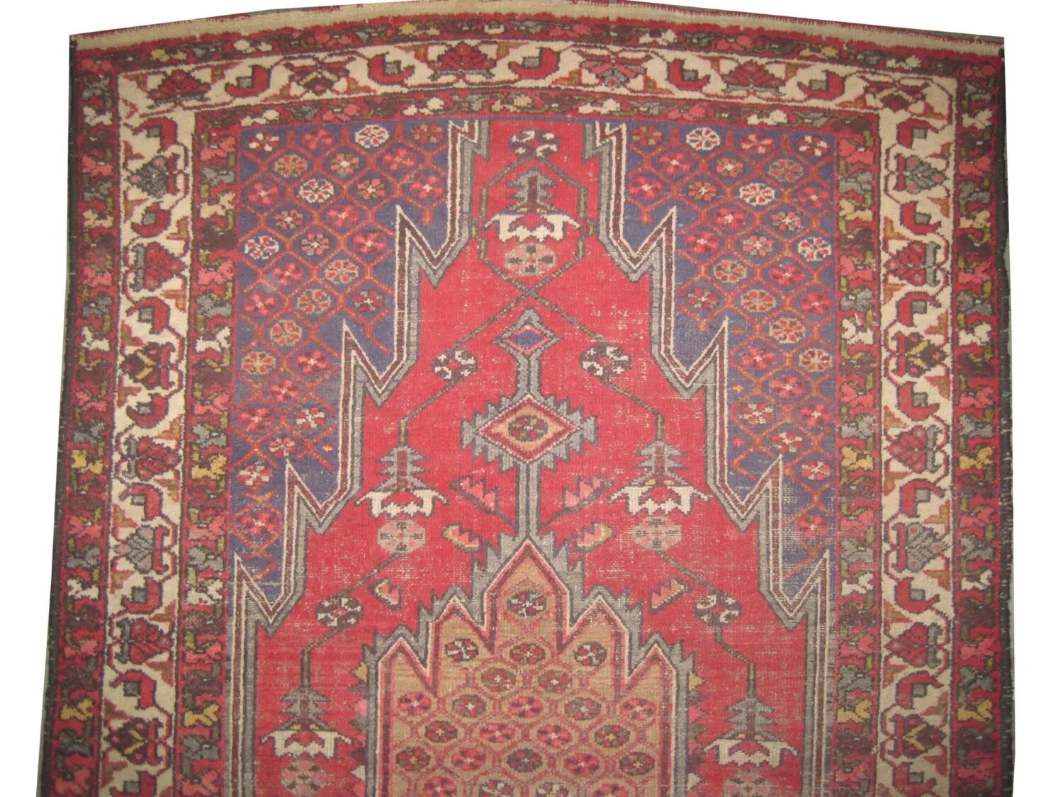 Noubaran Persian - Image 2
