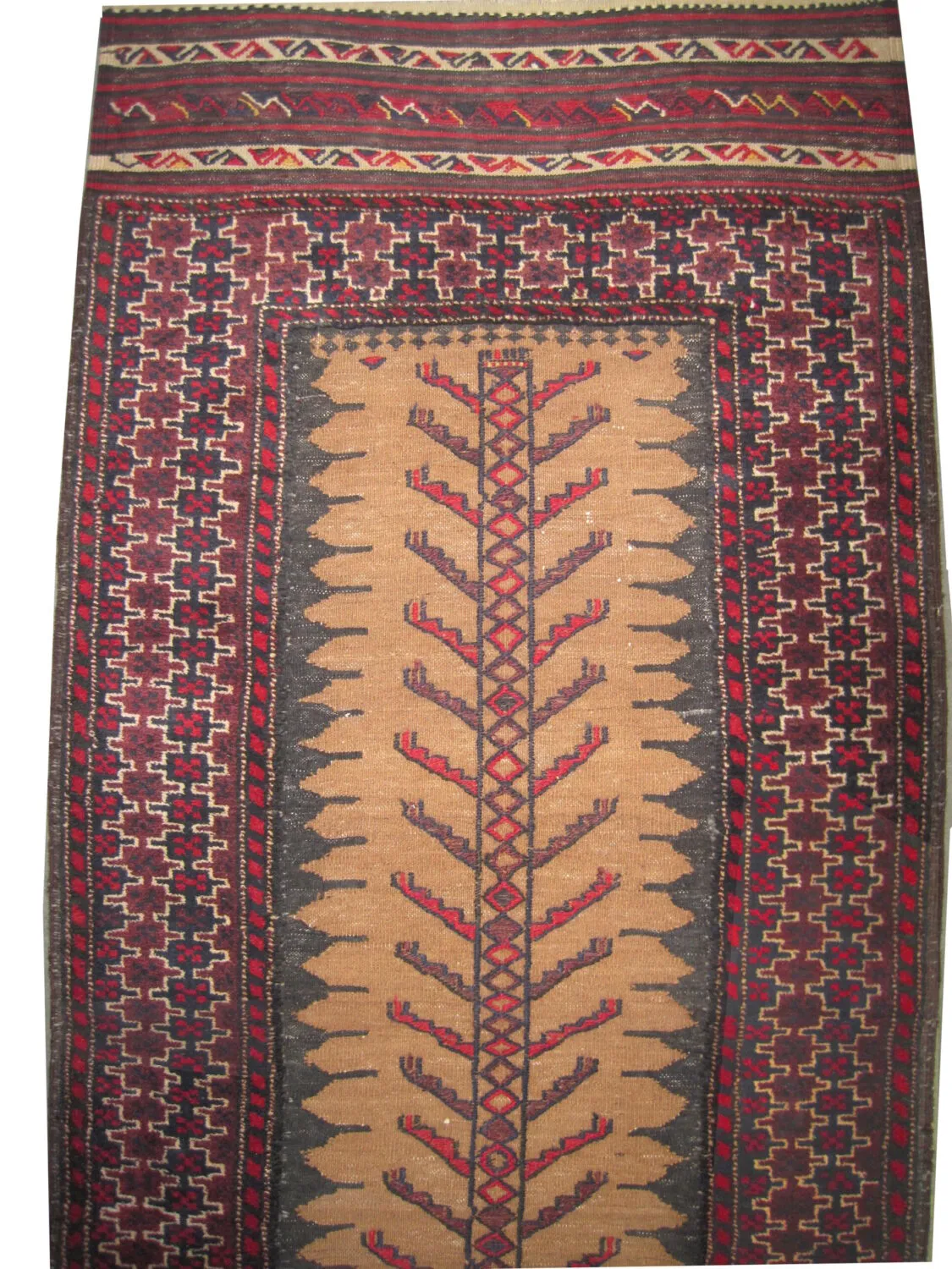 Belutsch Persian - Image 2