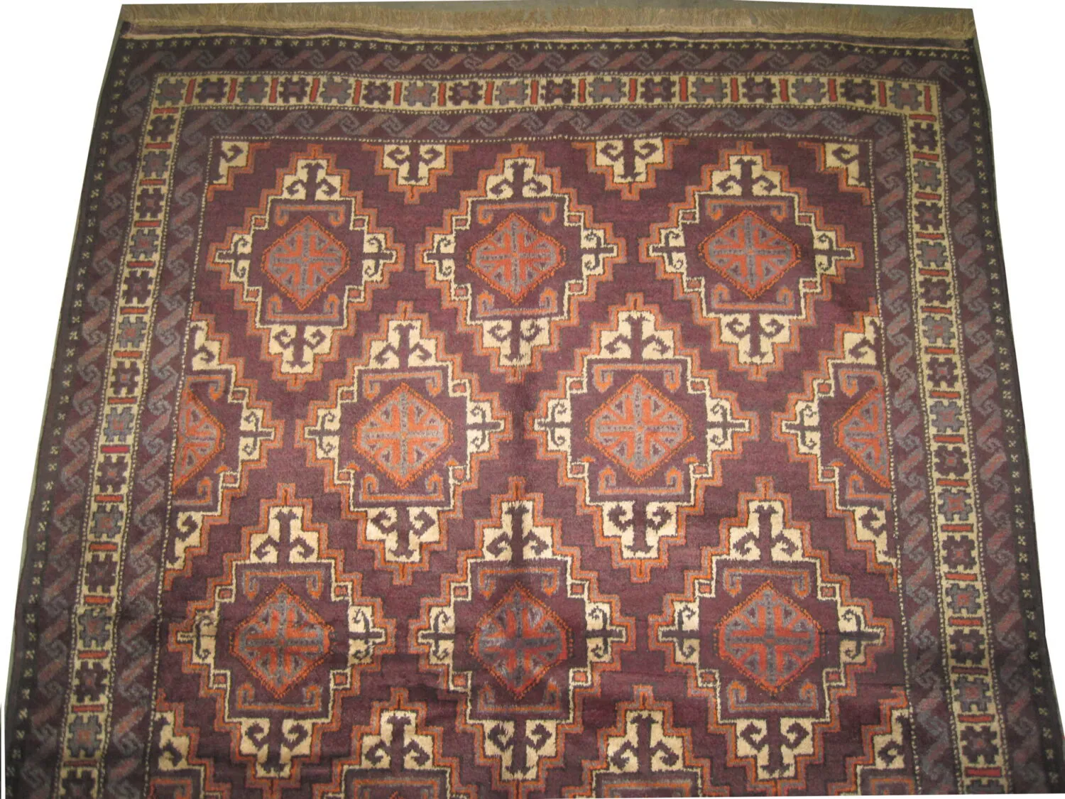 Belutsch Afghan - Image 3