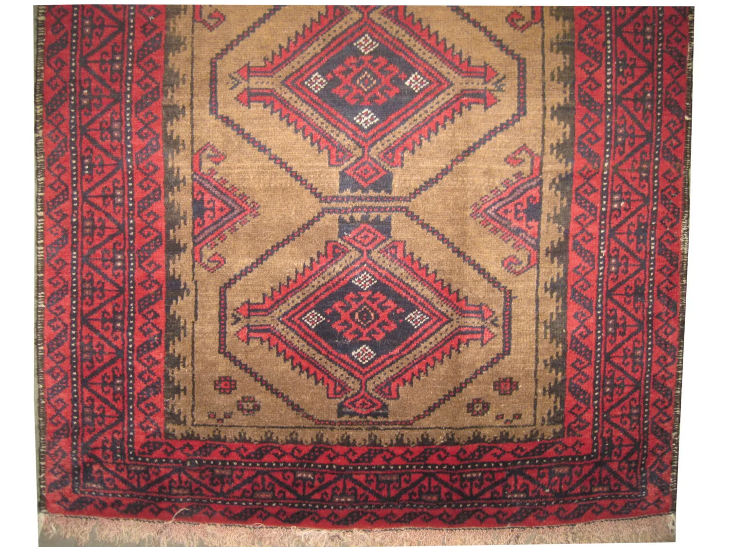 Belutsch Persian - Image 2