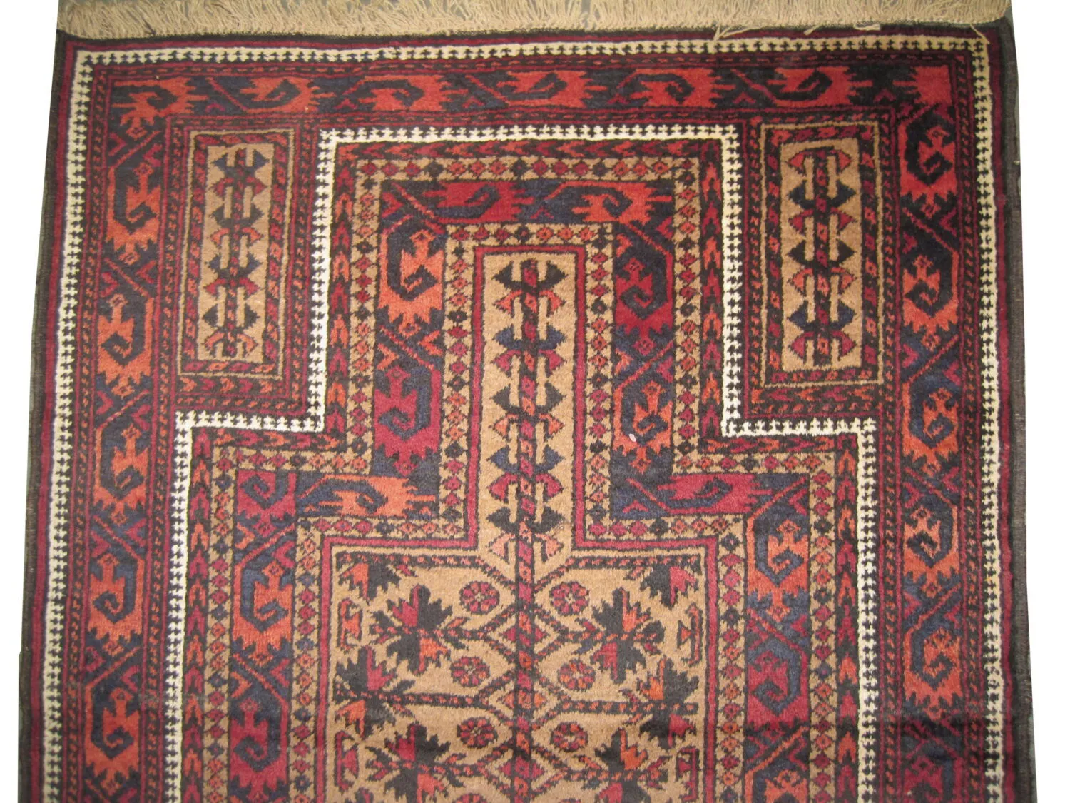 Belutsch Persian - Image 3