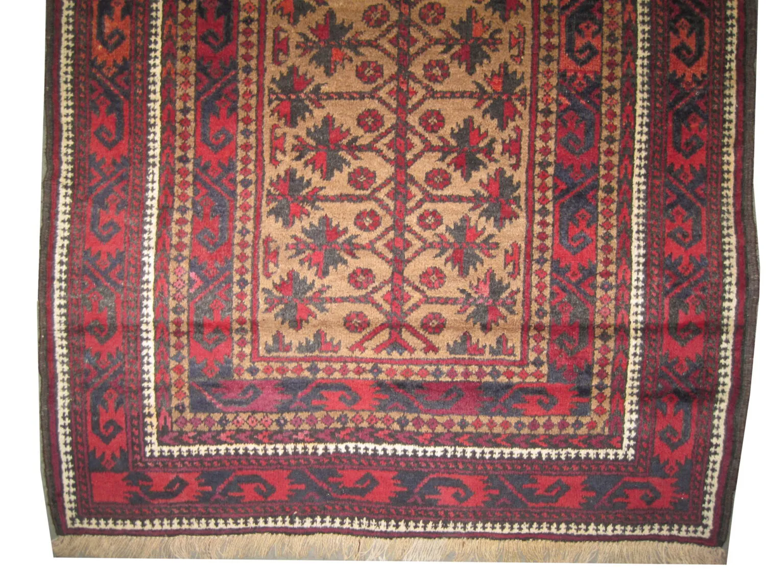 Belutsch Persian - Image 2