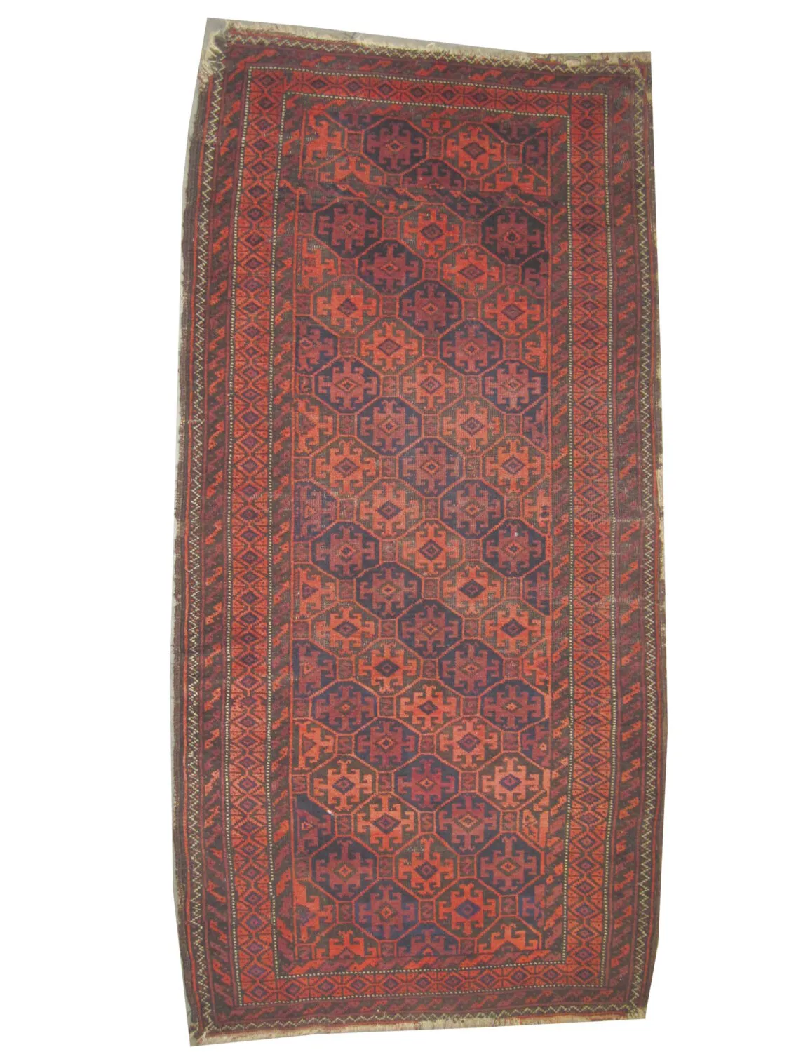 Belutsch Persian
