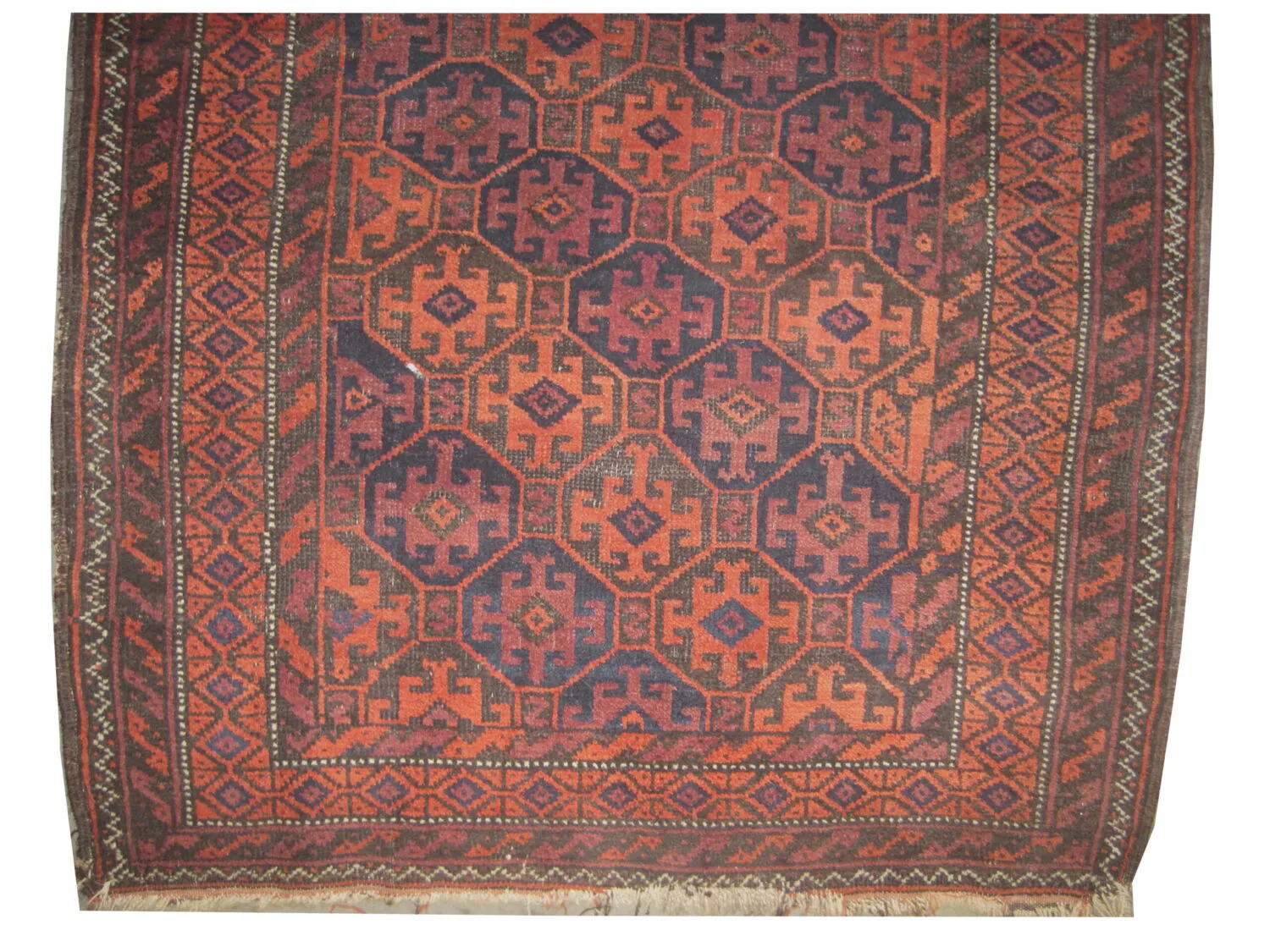 Belutsch Persian - Image 3