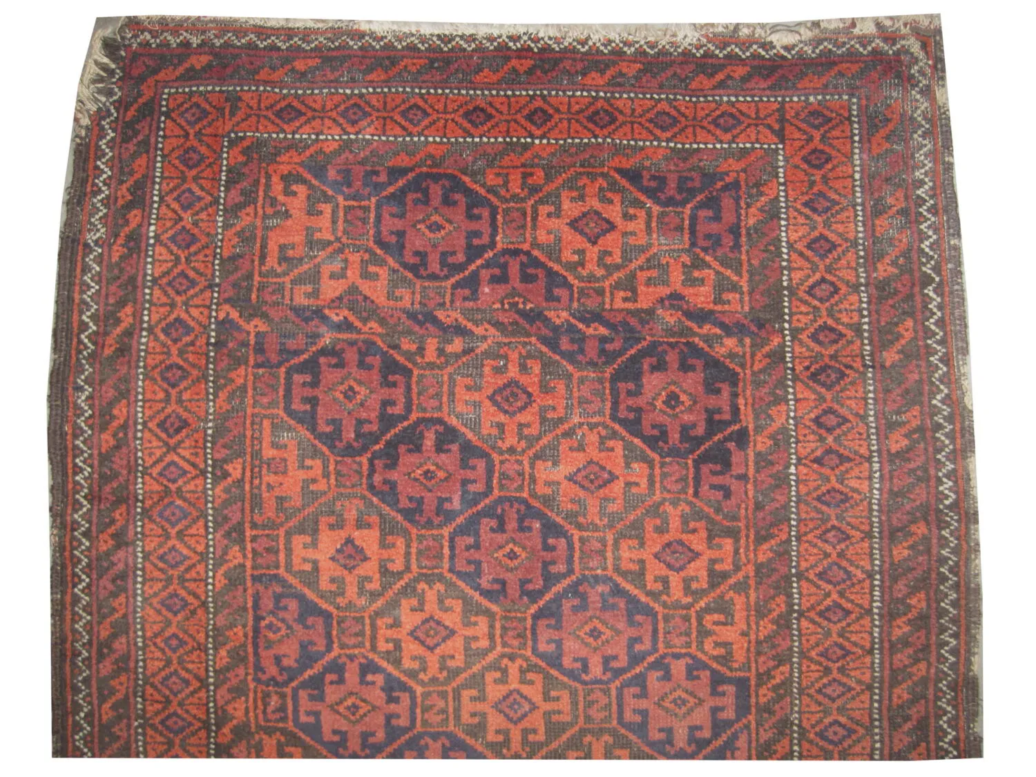 Belutsch Persian - Image 2