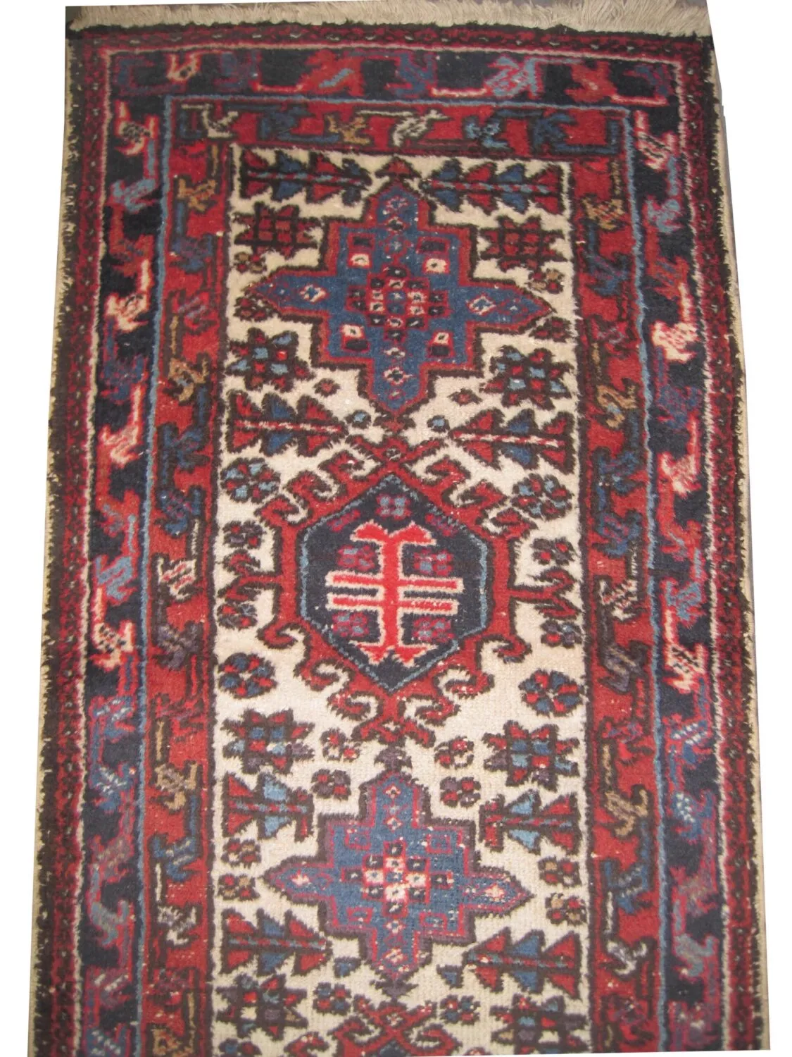 Karadja Persian - Image 2