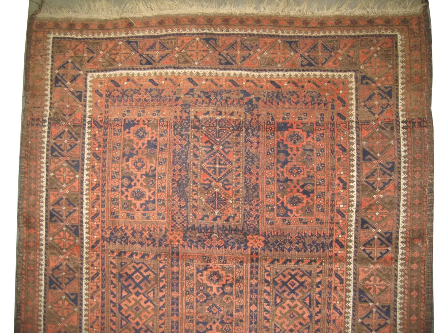 Belutsch Persian - Image 3