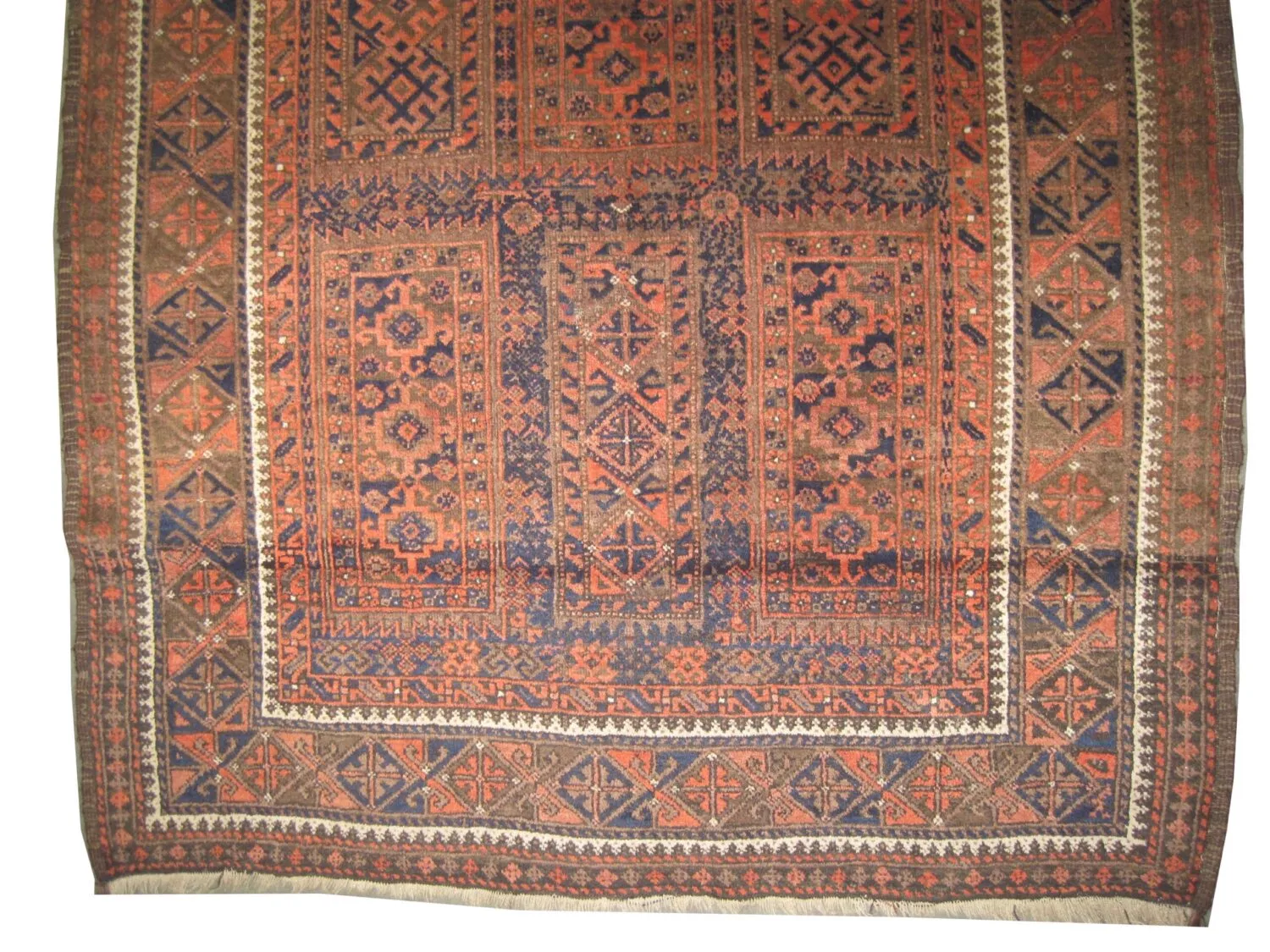 Belutsch Persian - Image 2