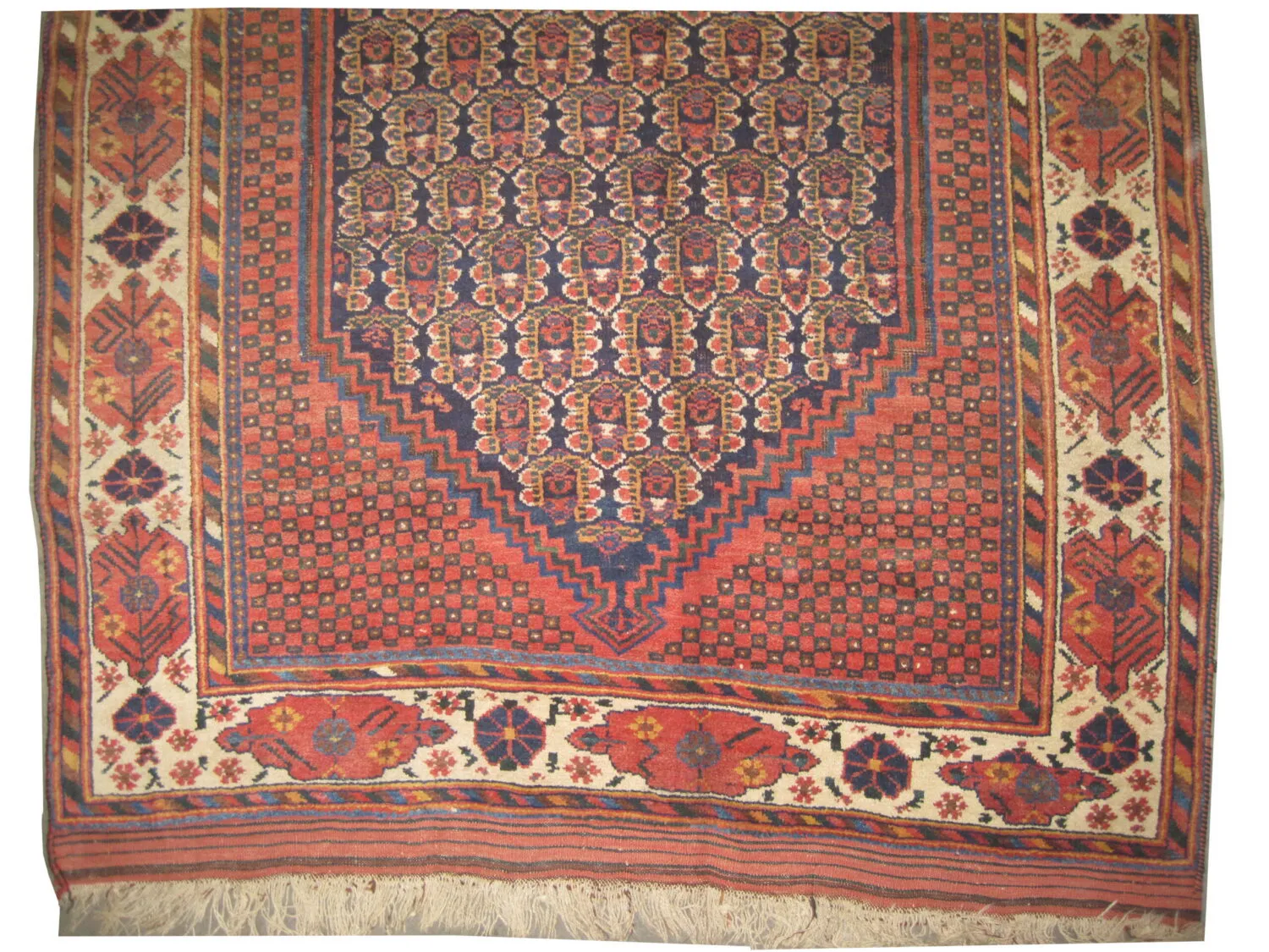 Afshar Persian - Image 3