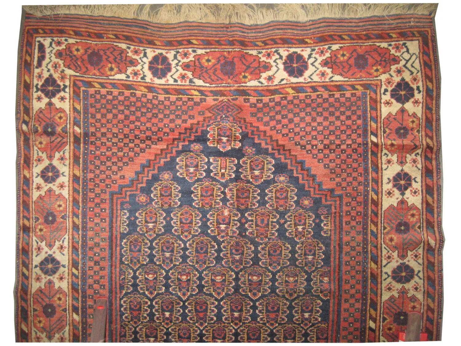 Afshar Persian - Image 2