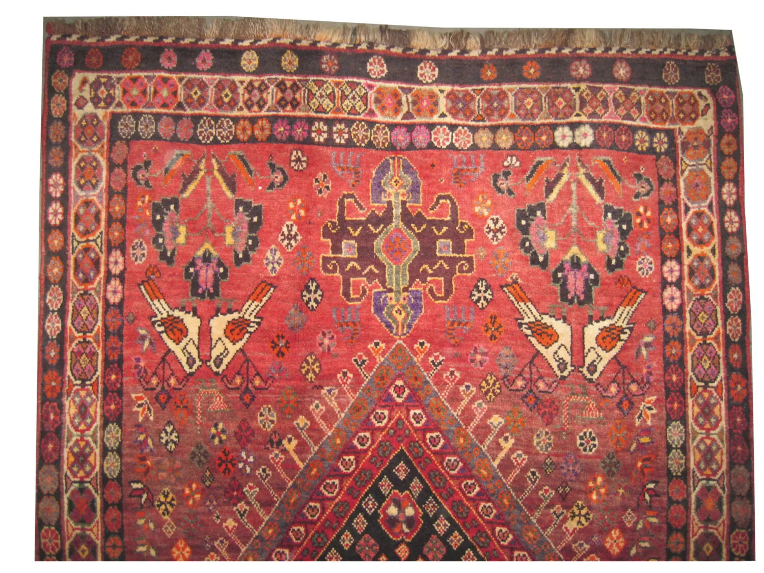 Gabbeh Nomad Persian - Image 2