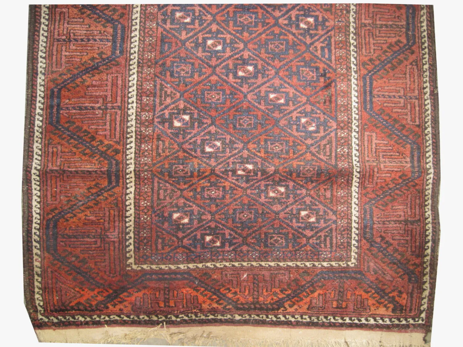 Belutsch Persian - Image 3