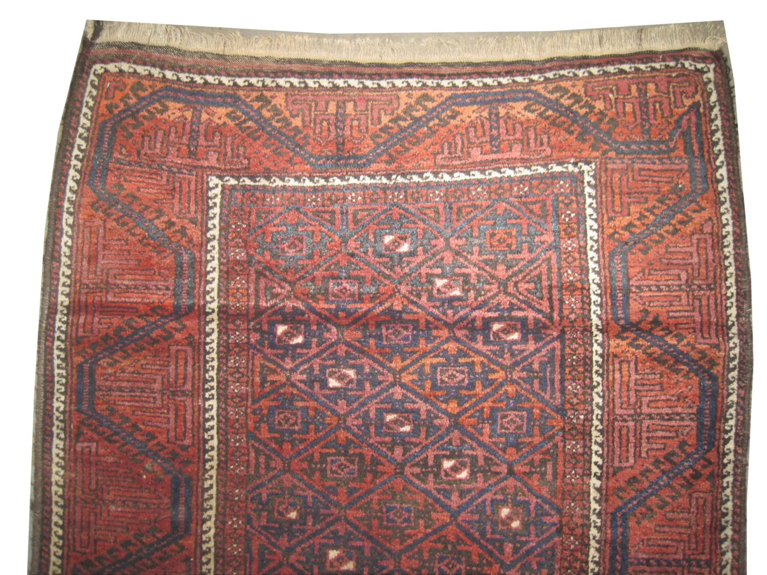 Belutsch Persian - Image 2