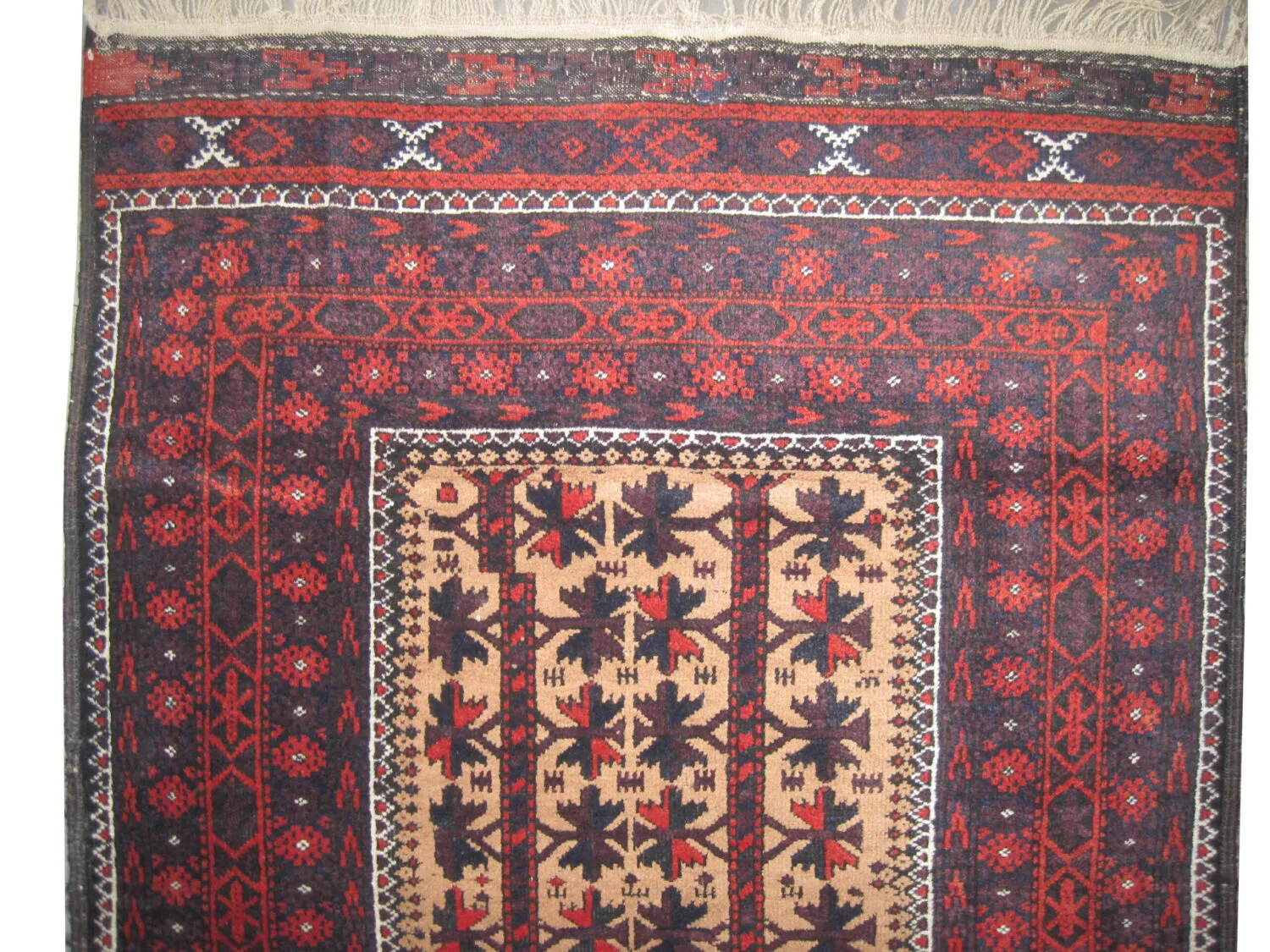 Belutsch Persian - Image 3
