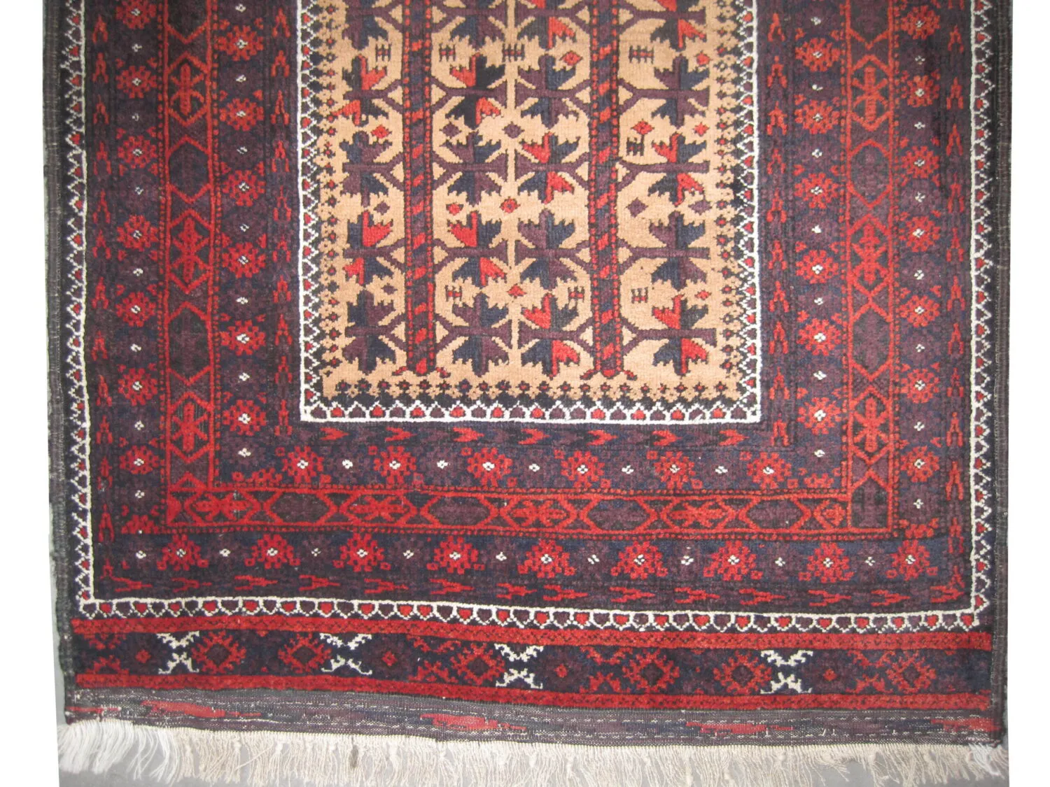 Belutsch Persian - Image 2