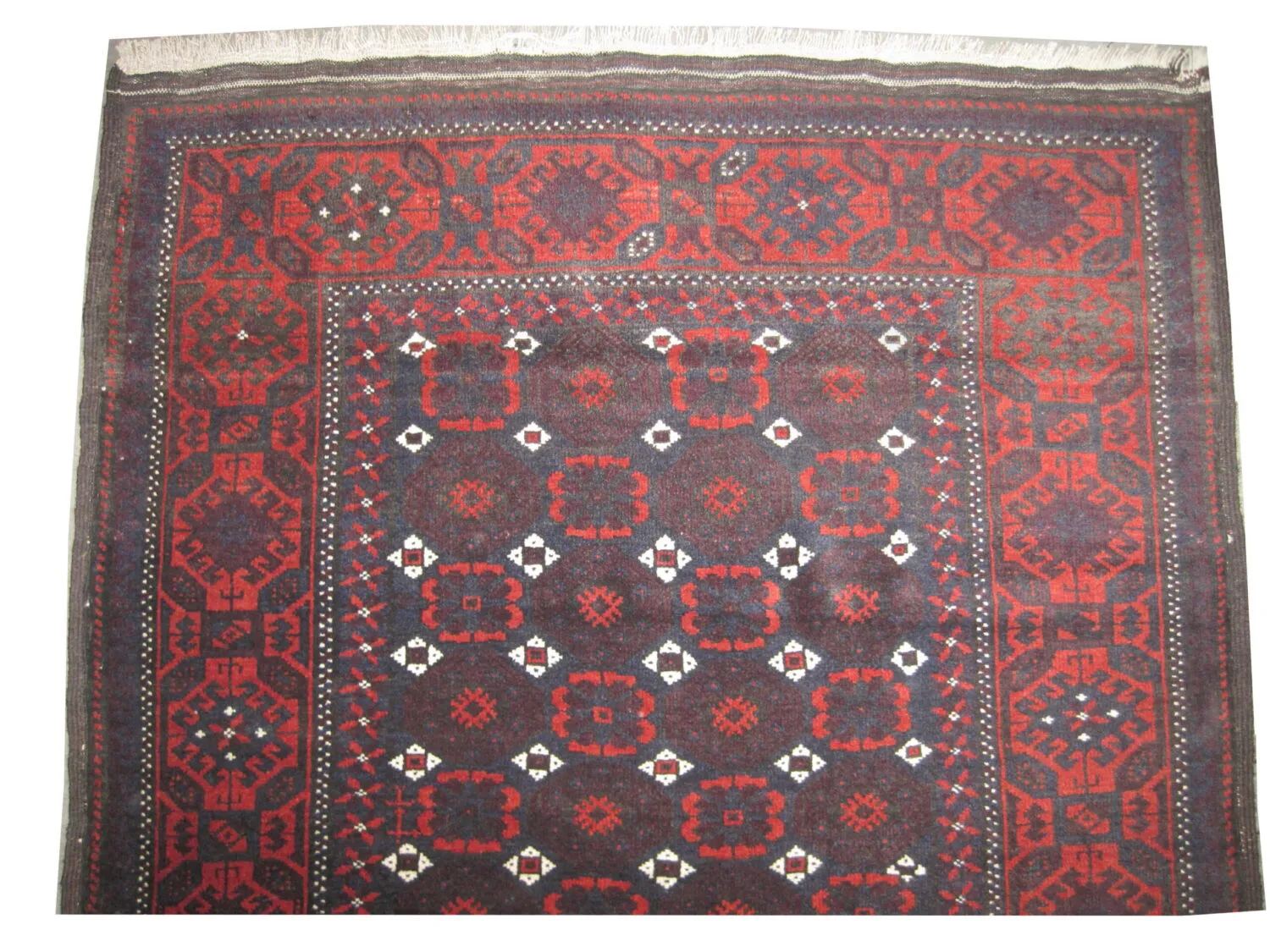 Belutsch Persian - Image 3
