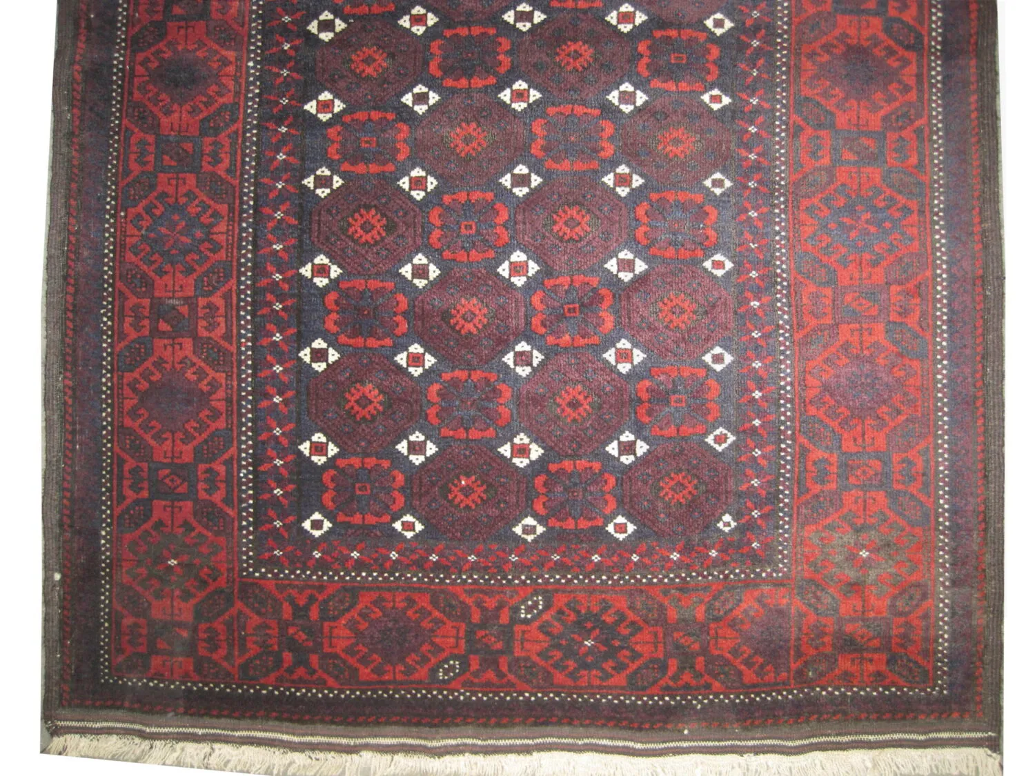 Belutsch Persian - Image 2