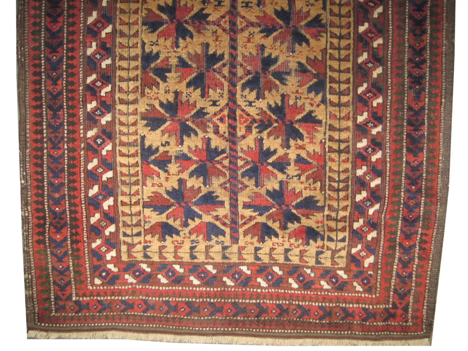 Belutsch Persian - Image 3