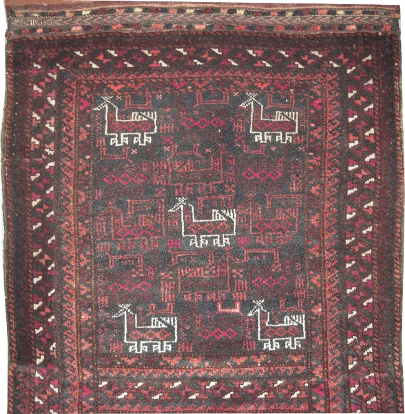 Belutsch Persian - Image 2