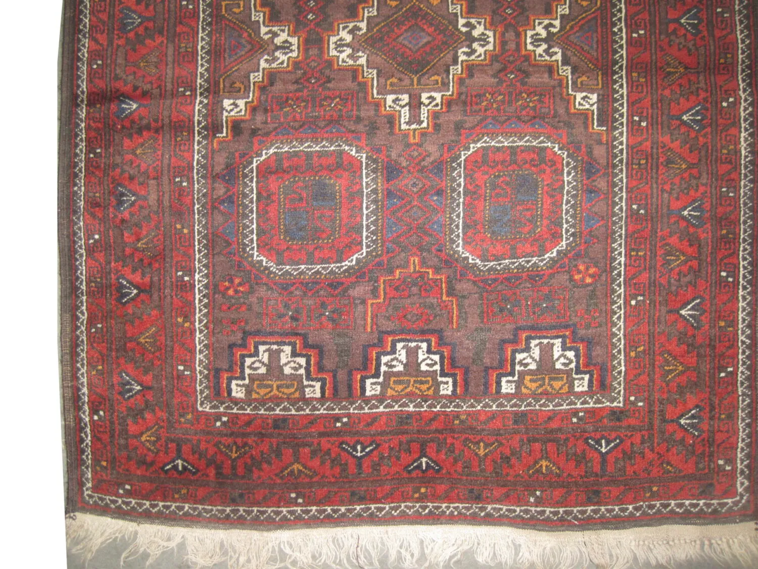 Belutsch Persian - Image 3
