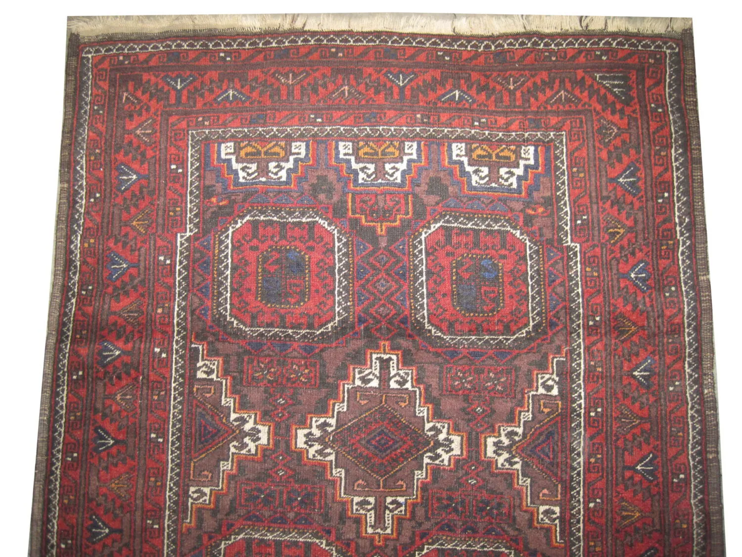 Belutsch Persian - Image 2
