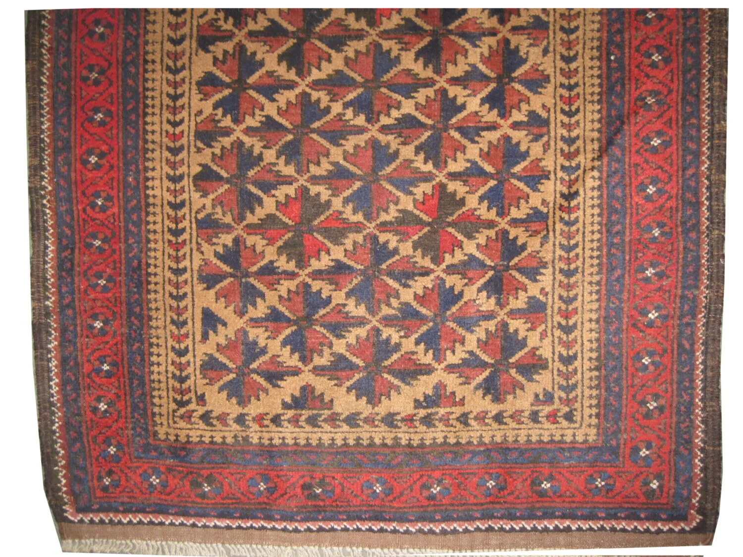 Belutsch Persian - Image 2