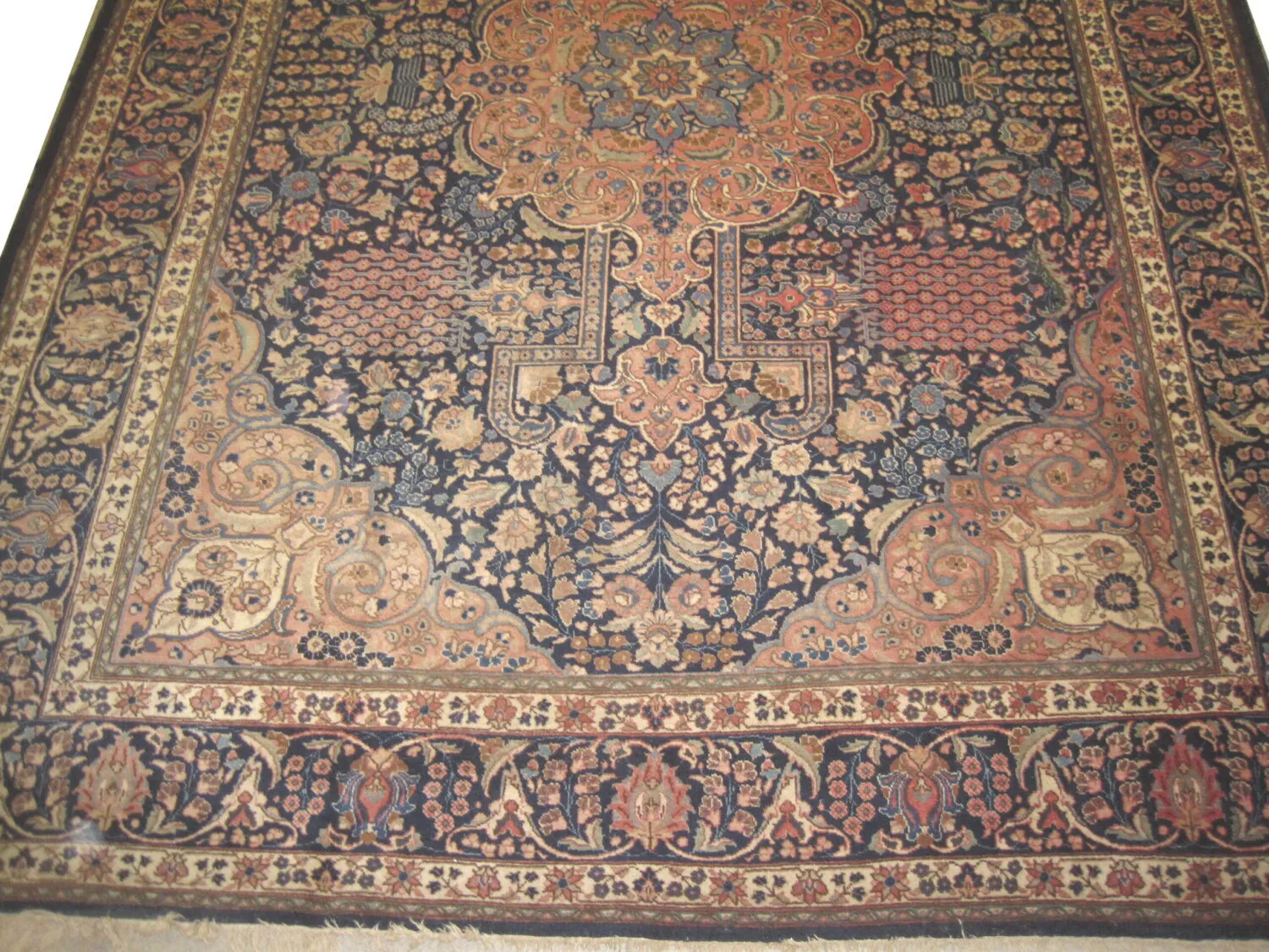 Tabriz Persian - Image 3