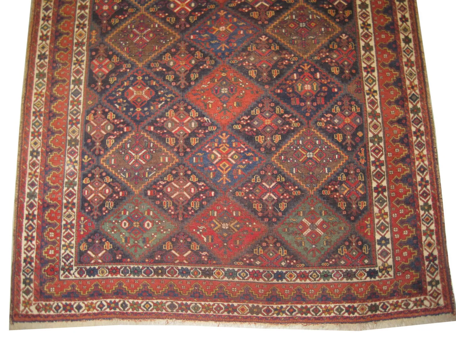 Afshar Persian - Image 3
