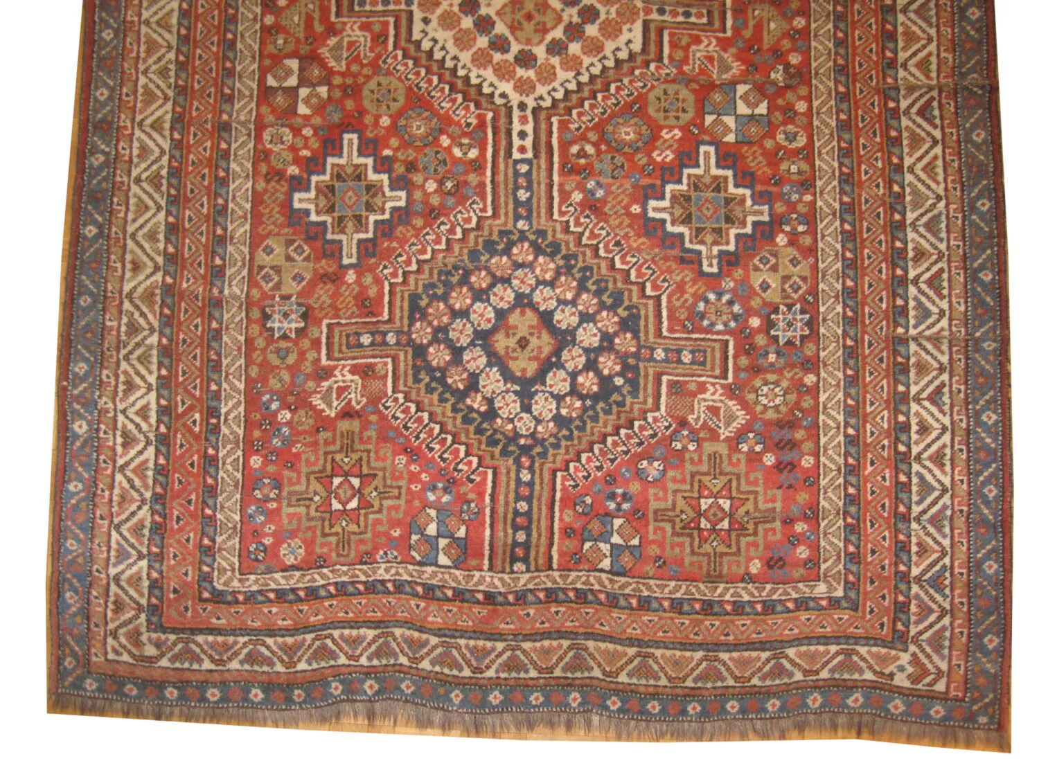 Shiraz Persian - Image 3