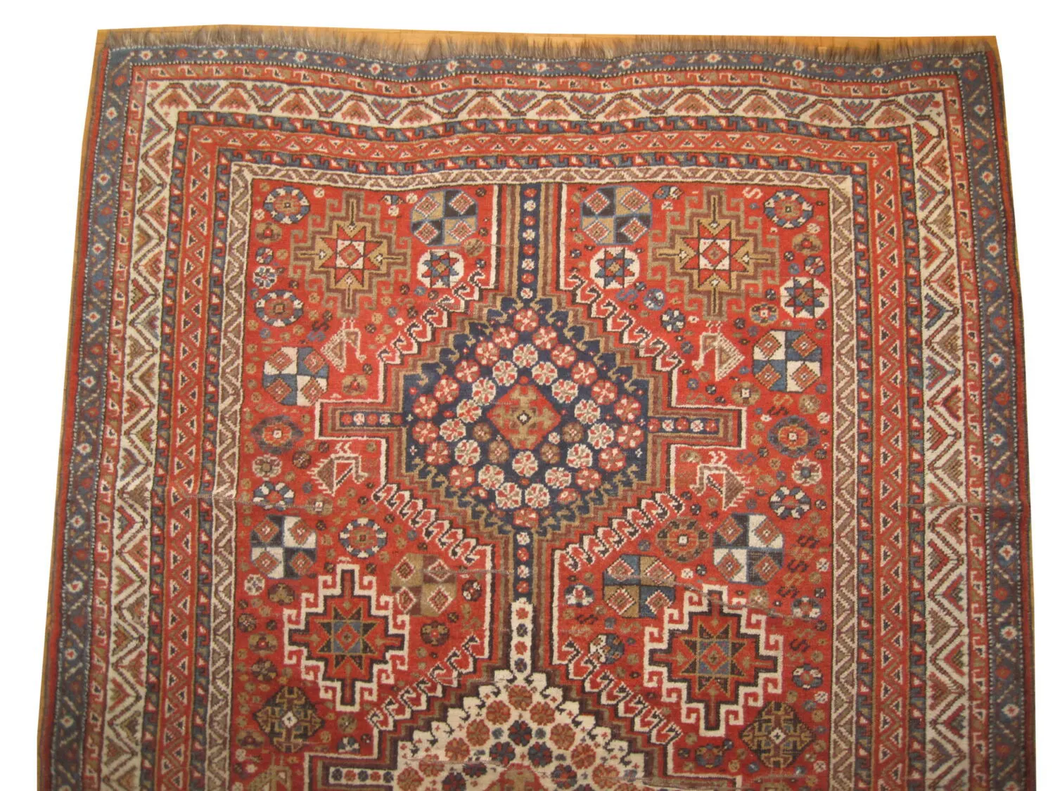 Shiraz Persian - Image 2
