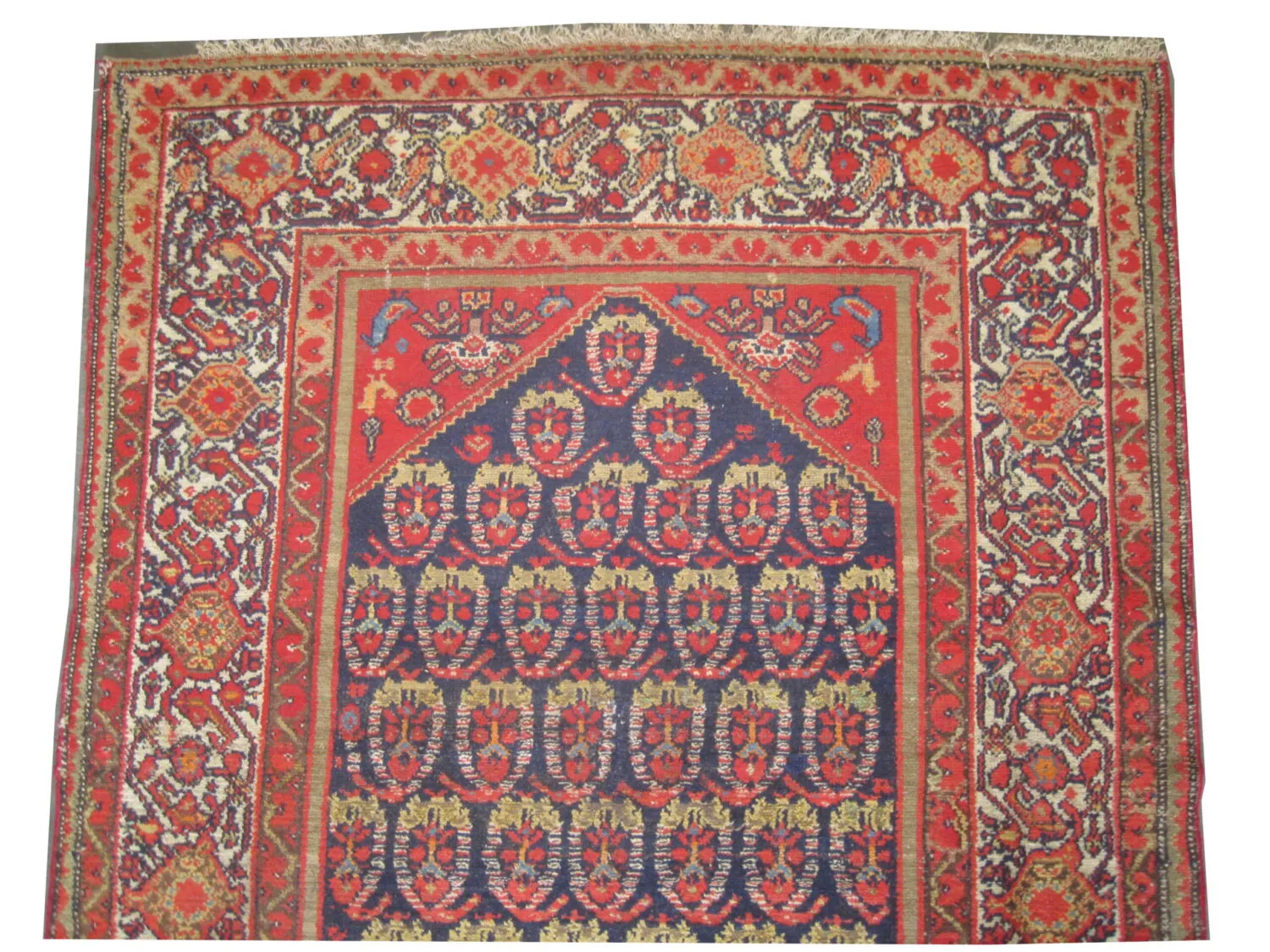 Malaier Persian - Image 3