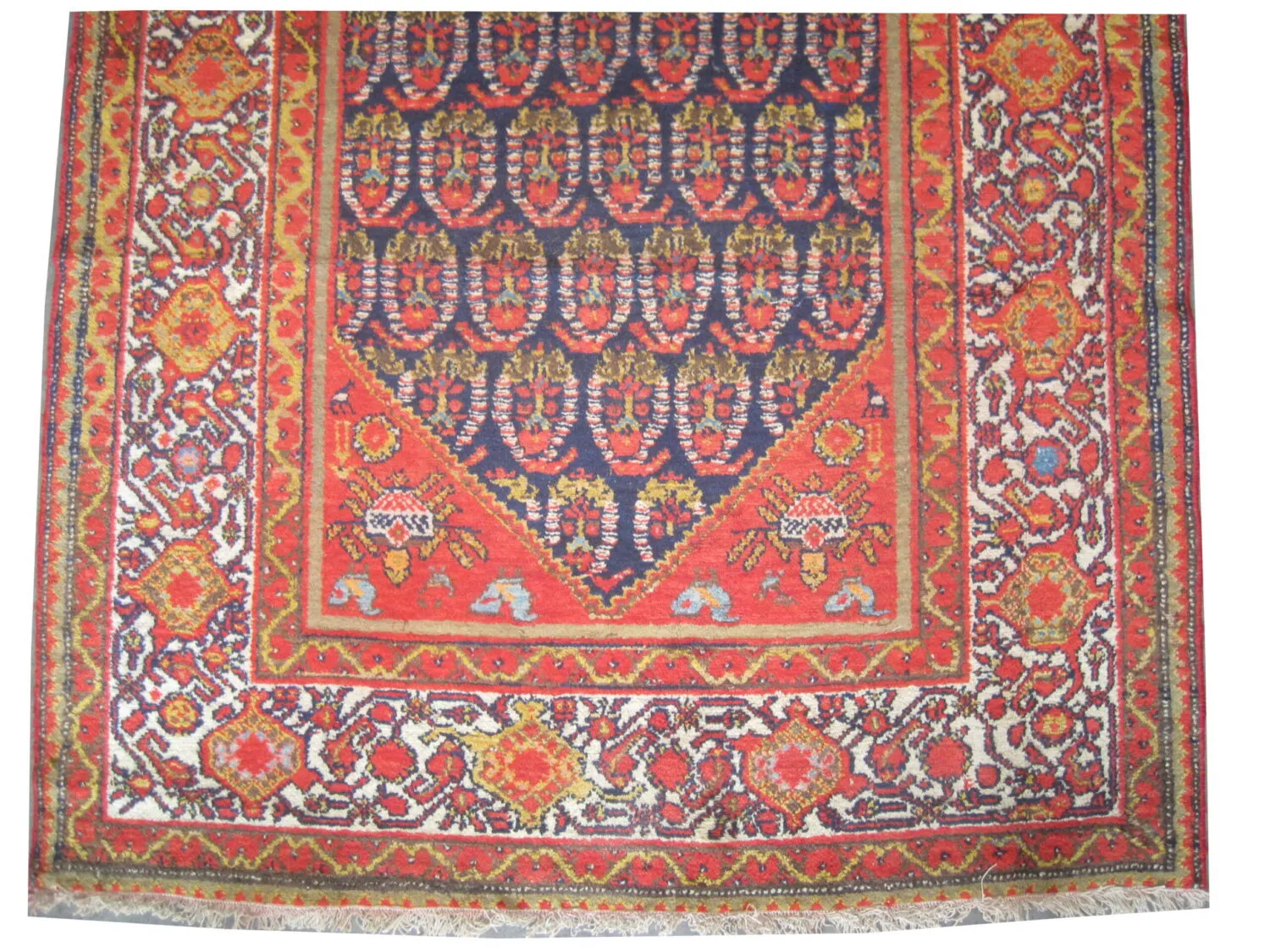 Malaier Persian - Image 2