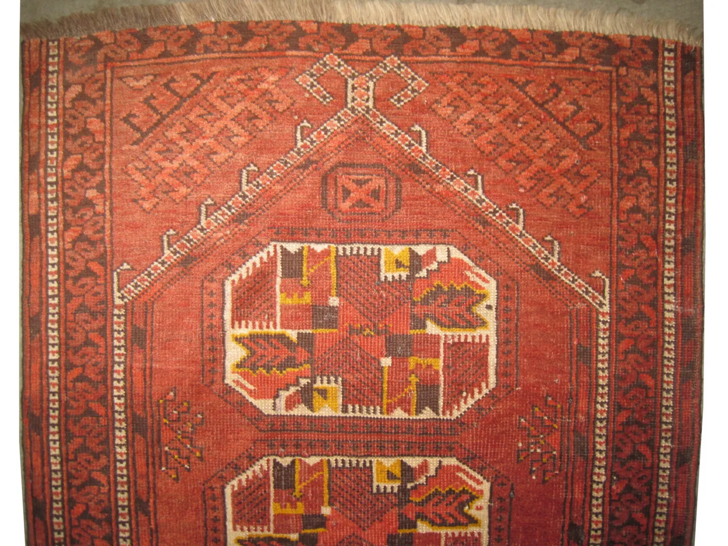 Beshir Turkmen - Image 3