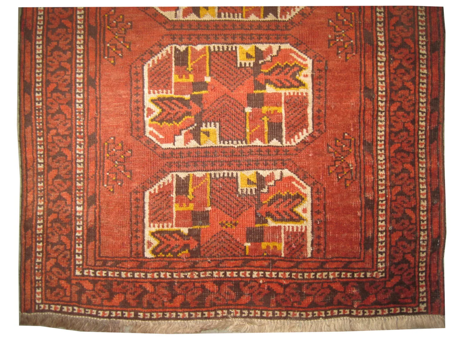 Beshir Turkmen - Image 2