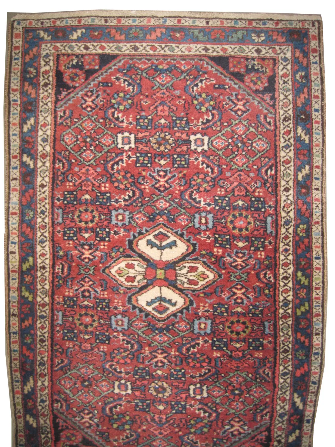 Enjilaz Persian - Image 2