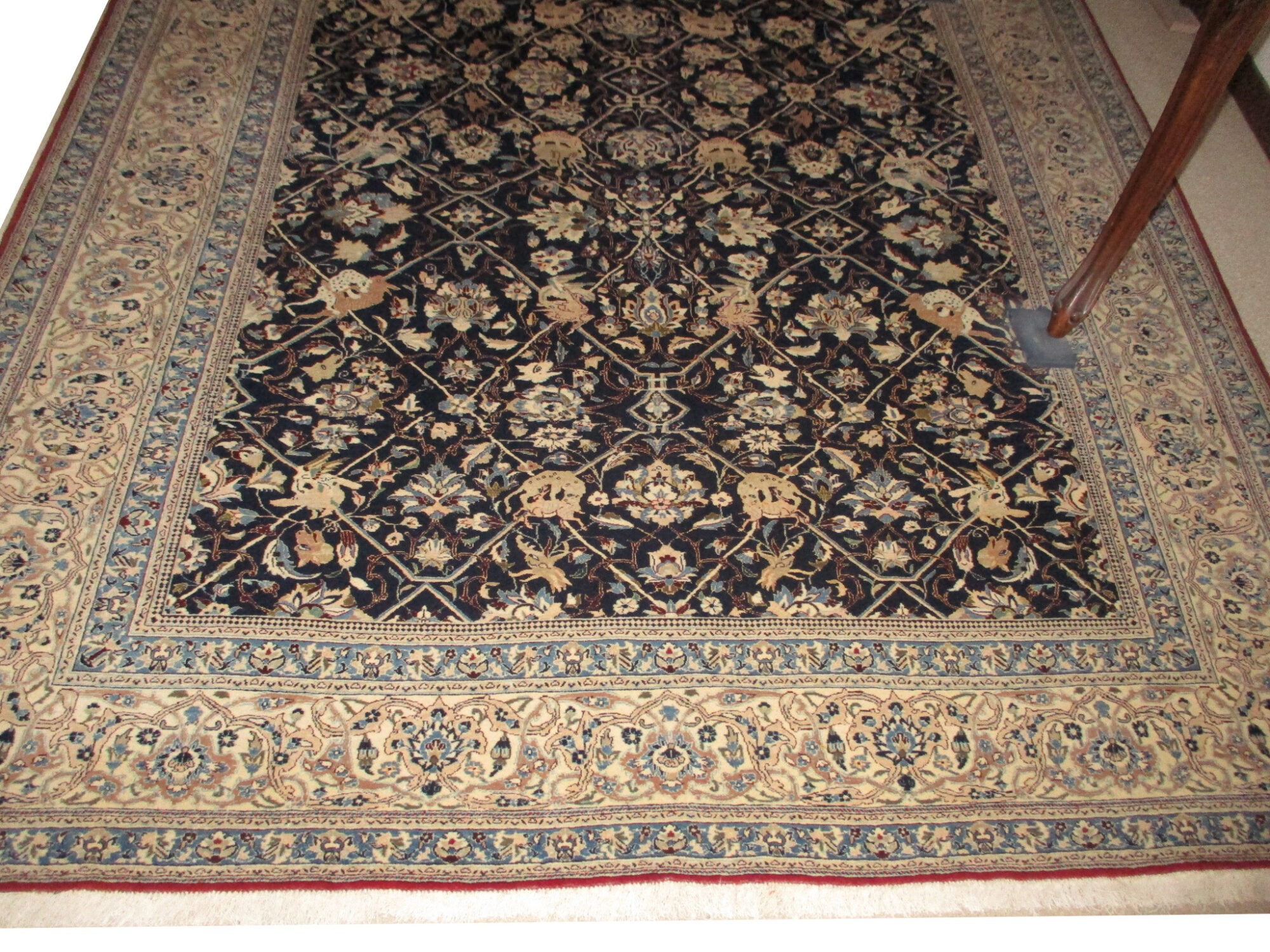 Nain Persian - Image 2