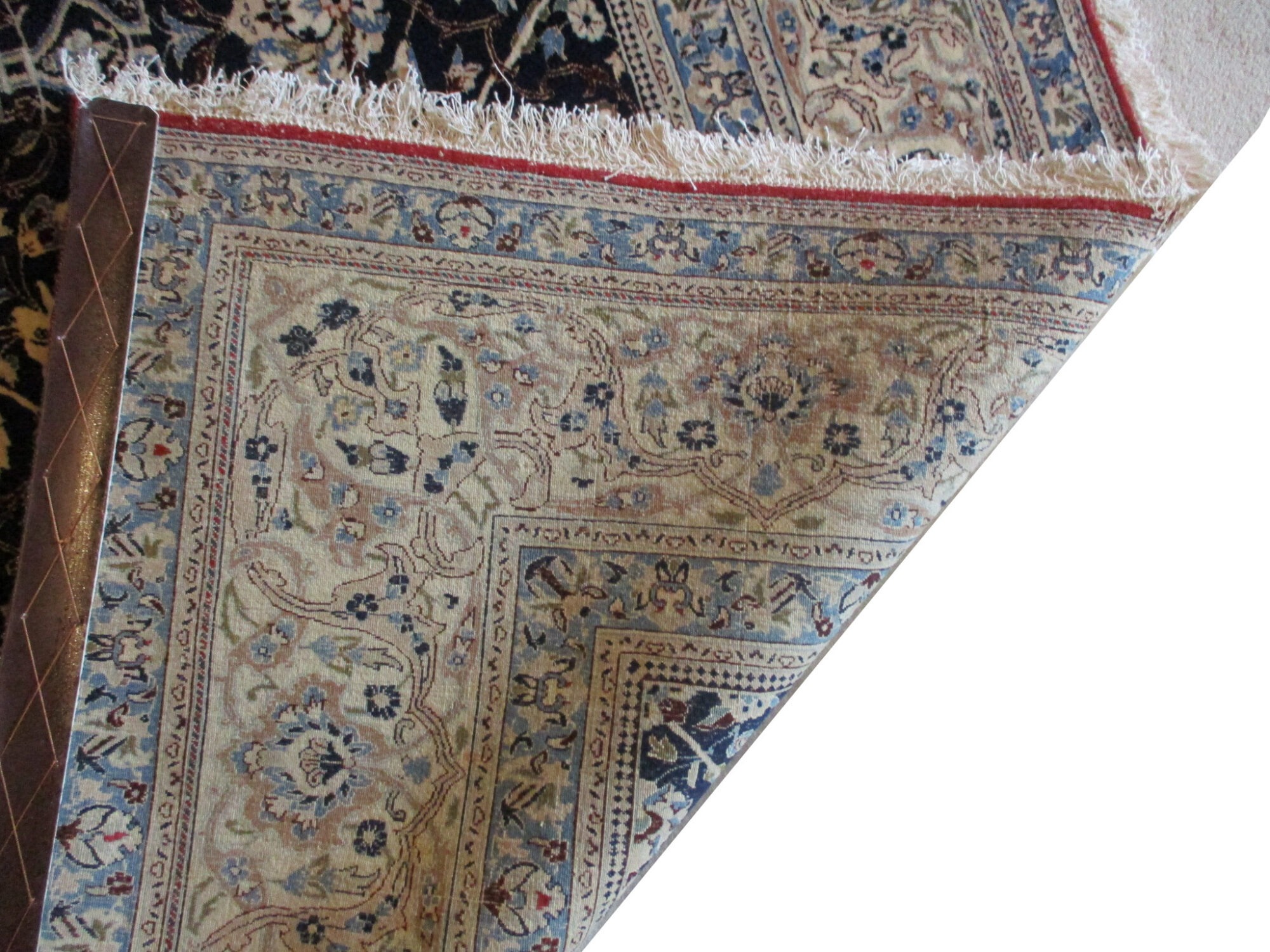 Nain Persian - Image 3
